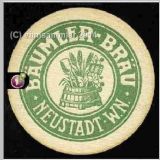 neustadtbaumler (4).jpg